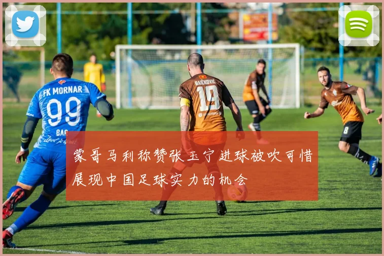蒙哥马利称赞张玉宁进球被吹可惜展现中国足球实力的机会